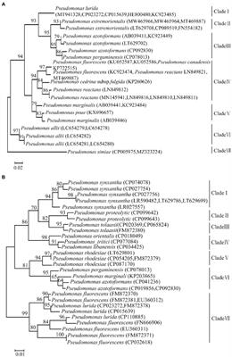 Development of a real-time loop-mediated isothermal amplification method for monitoring Pseudomonas lurida in raw milk throughout the year of pasture